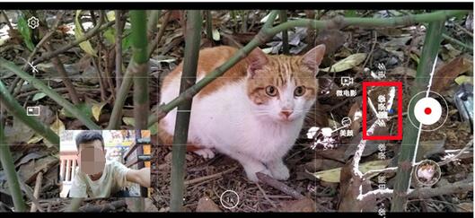 荣耀50前后摄像头怎么一起拍。