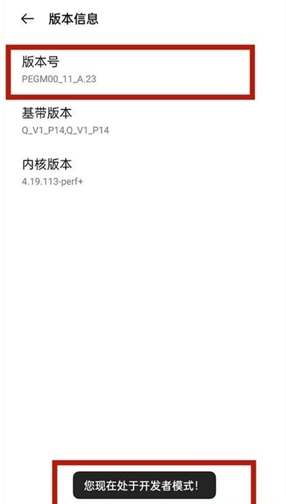 一加9pro如何进入开发者选项