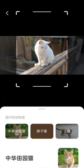 1632386896519608.png 夸克浏览器AI相机怎么使用