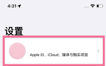 iphone13mini如何退出id。