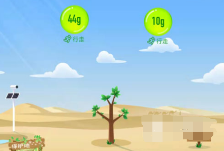 支付宝如何开通步行有能量。