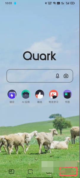 夸克浏览器如何取消标记广告