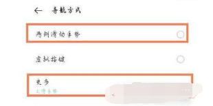 1635410969750202.png 真我Q3s如何设置全面屏手势