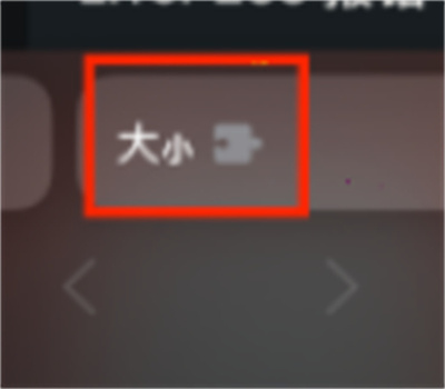 苹果safari扩展选项在哪。