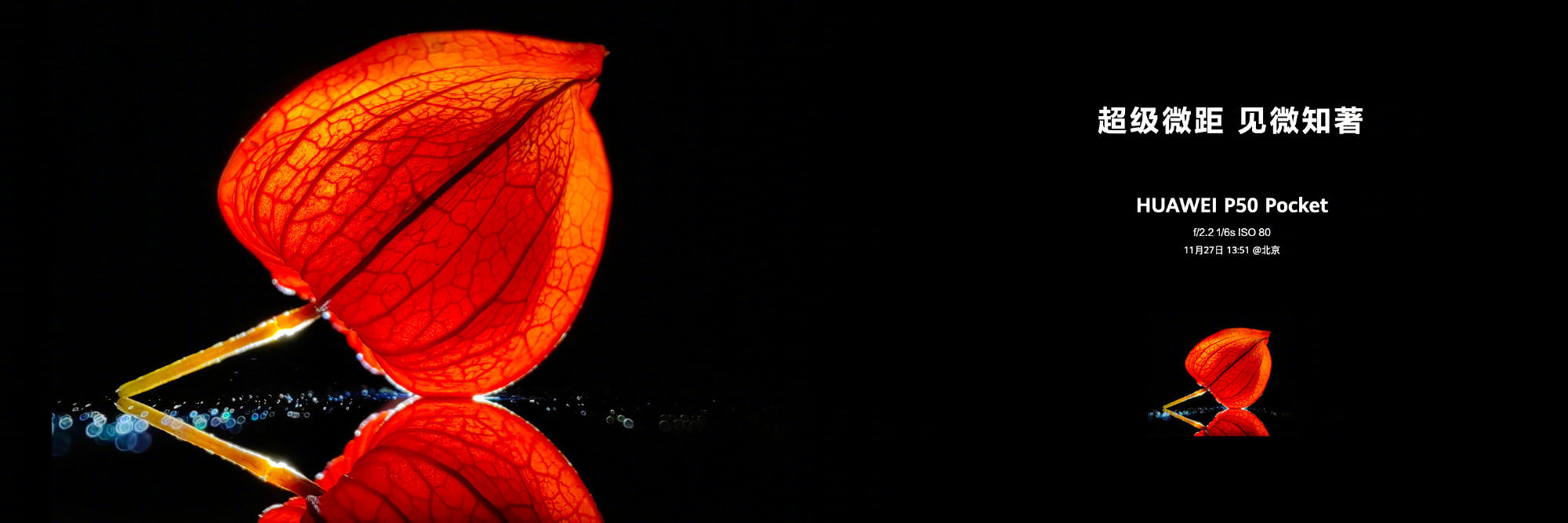 1640312117404543.jpg 华为P50Pocket后置镜头像素怎么样