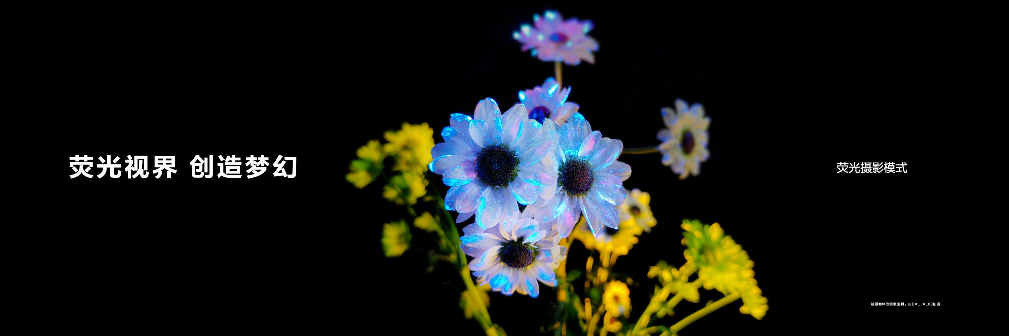 1640312105997082.jpg 华为P50Pocket后置镜头像素怎么样