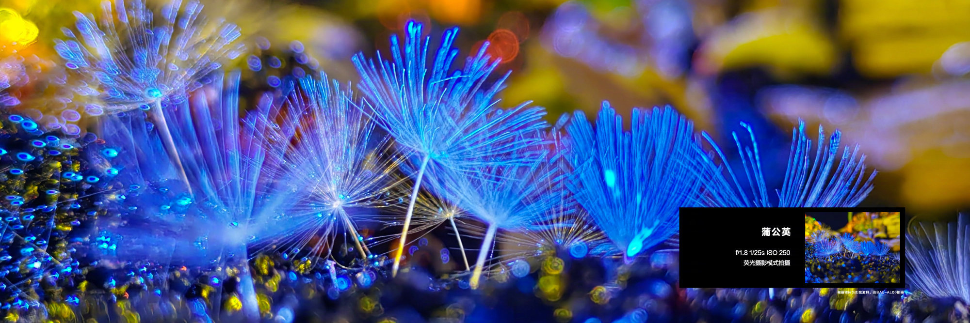 1640312108117659.jpg 华为P50Pocket后置镜头像素怎么样