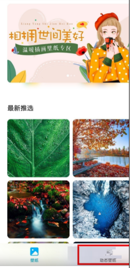 1641027878660435.png 荣耀60pro动态壁纸在什么地方设置