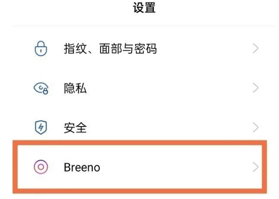oppo手机小布在什么地方开启