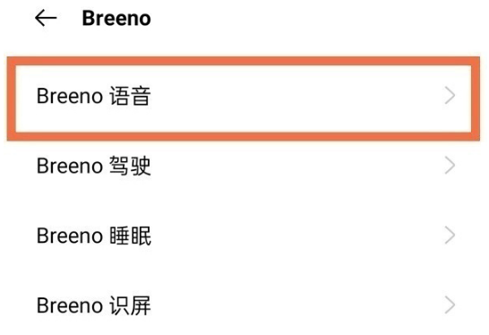 oppo手机小布在什么地方开启