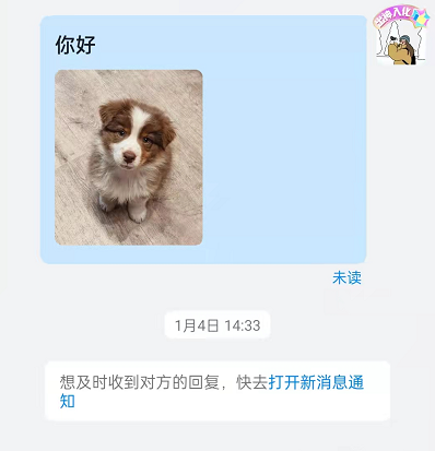 钉钉图片文字能同时发吗