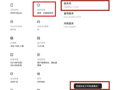 opporeno6开发者选项在什么地方