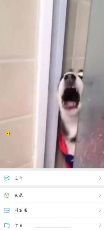 1646638795495844.png 微信动态背景图如何设置