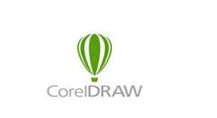 cdr绘制仙人掌的操作流程。