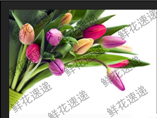 我来教你用PS完美去除图片上的连续水印