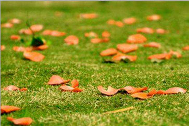 我来教你用ps制作雨天动图，易学易操作