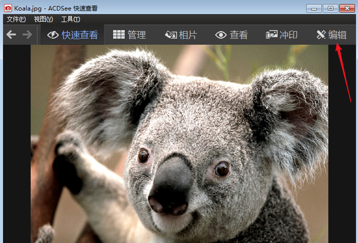 ACDSee修整图片尺寸的经验今天分享