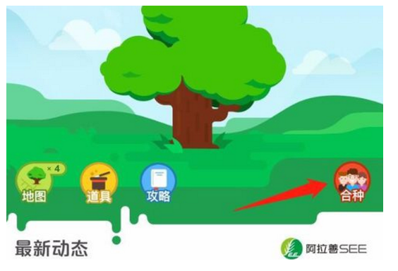 蚂蚁森林合种功能在哪