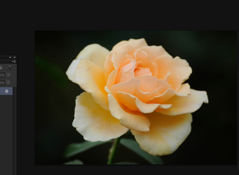 新手教学：PS抓手工具实操讲解