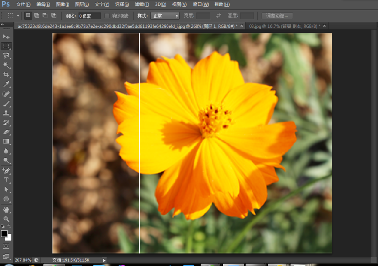 图片上有小瑕疵，可用PS内容识别工具来修补