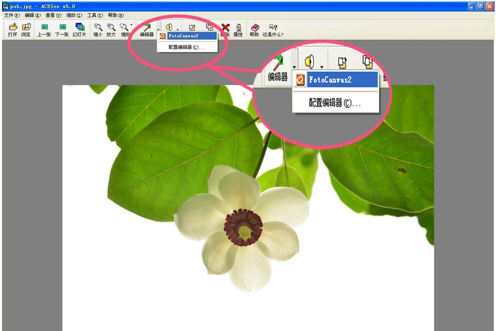 ACDSee魔棒抠图方法今天分享，效果堪比Photoshop