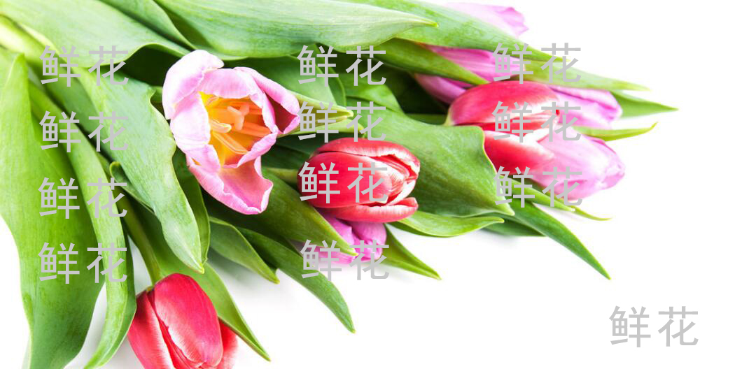 今天说说PS修图高级技巧，轻松去除图片中的所有水印。