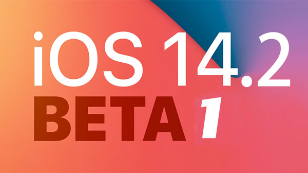 今天说说iOS14.2beta1描述文件怎么下载安装。