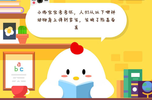 今天分享小鸡宝宝考考你，人们从以下哪种动物身上得到启发，发明了防毒面具。