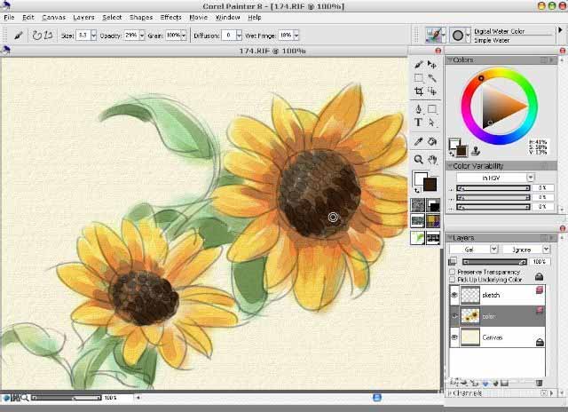 painter8绘画水彩效果向日葵的详细使用方法截图