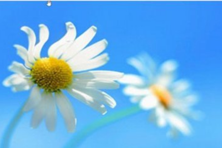 Win7和Win8哪个好。