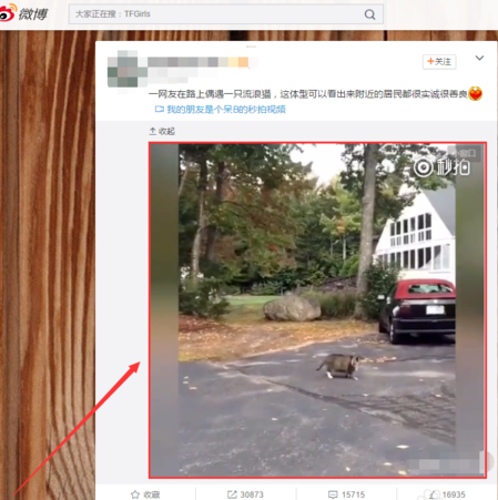 我来教你在 Google 浏览器中下载网页上视频。