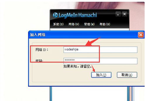 hamachi联机的操作教程截图