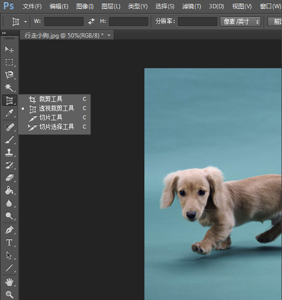 PS 透视裁剪工具使用说明，小白教程。