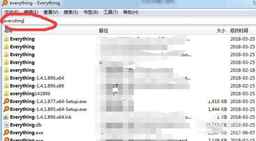 Everything中文版使用操作教程截图