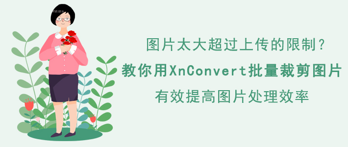 如何使用XnConvert批量裁剪图片。