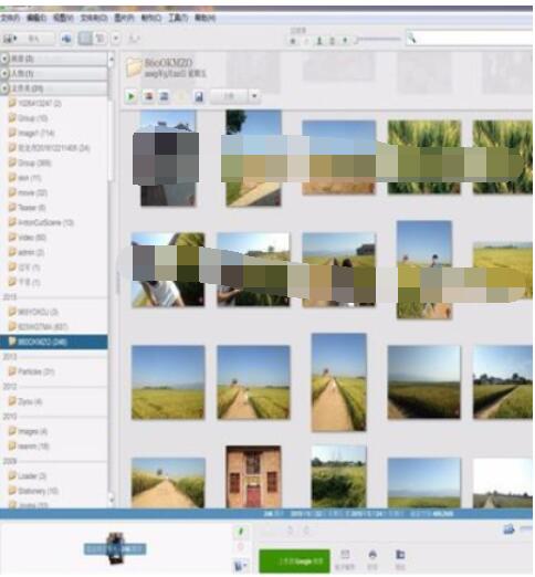 Google Picasa中打印图片的具体操作步骤截图