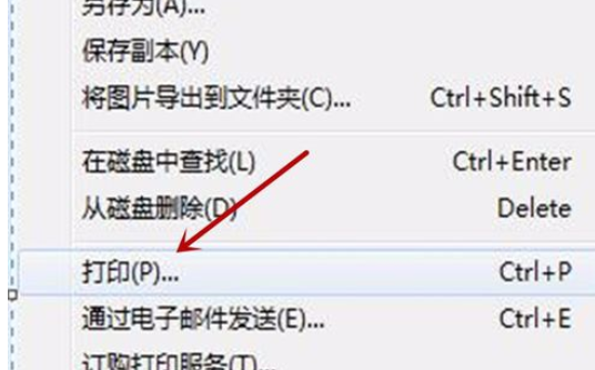 Google Picasa中打印图片的具体操作步骤截图
