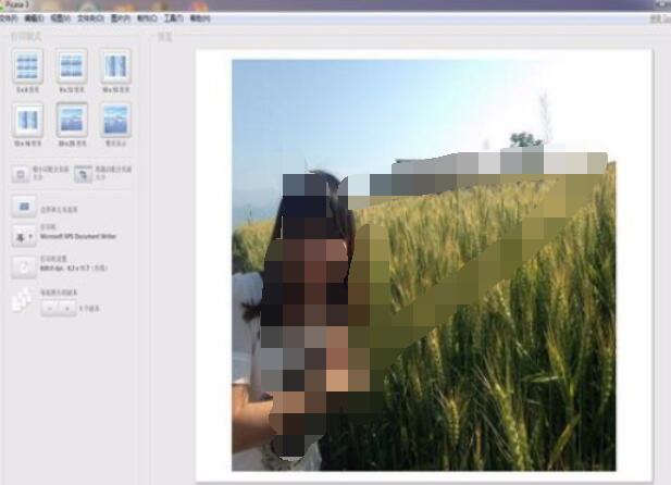 Google Picasa中打印图片的具体操作步骤截图