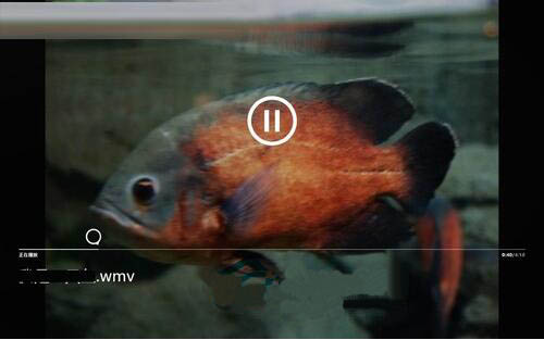 win8系统中视频软件的使用具体方法截图