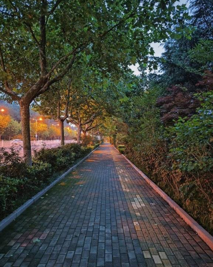 1657092409505072.png 小米12s夜景拍照好吗