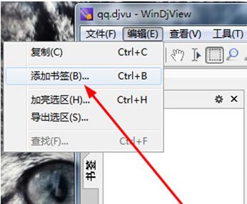 WinDjView保存笔记的操作过程截图