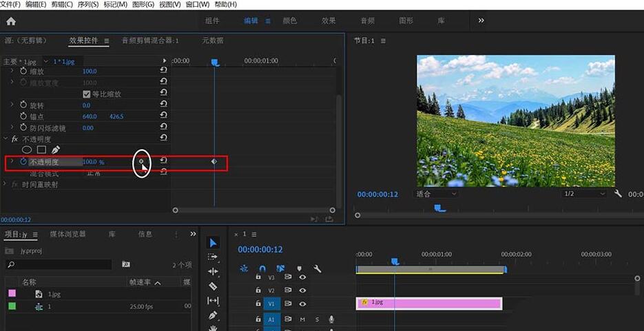 premiere制作画面逐渐转黑效果的过程截图