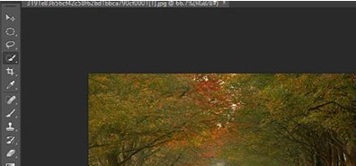 PS反选选区操作方法截图