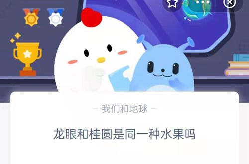 龙眼和桂圆是同一种水果吗。