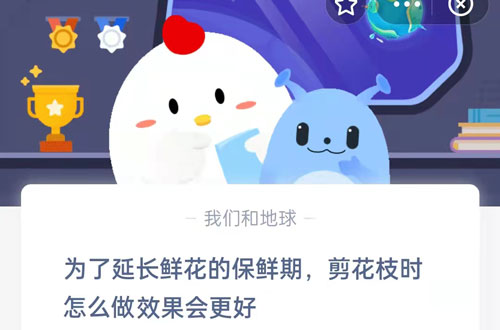 为了延长鲜花的保鲜期，剪花枝时怎么做效果会更好。