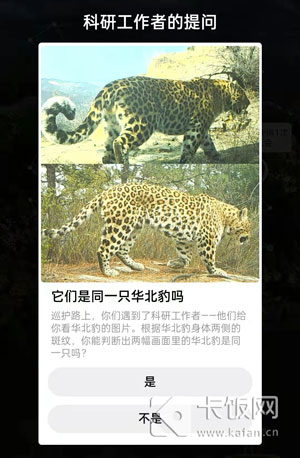 它们是同一只华北豹吗。