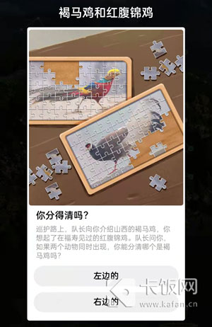 褐马鸡和红腹锦鸡的区别。