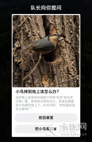小鸟掉到地上该怎么办。