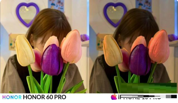 荣耀60Pro和iPhone13Pro拍照哪个好?荣耀60Pro和iPhone13Pro拍照对比介绍截图