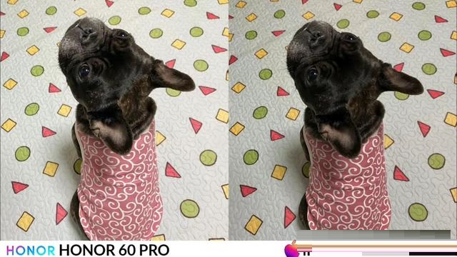 荣耀60Pro和iPhone13Pro拍照哪个好?荣耀60Pro和iPhone13Pro拍照对比介绍截图
